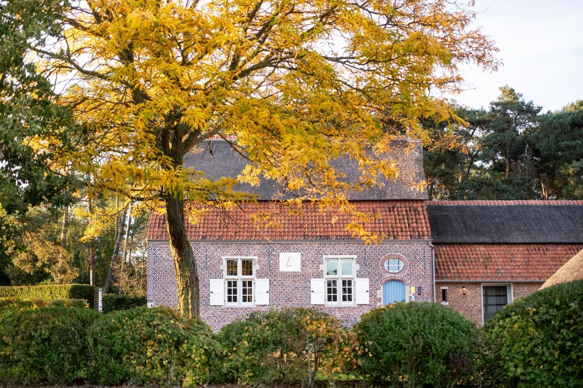 Beddermolen - Molenhuis Op Historisch Erfgoeddomein Westerlo Exterior photo